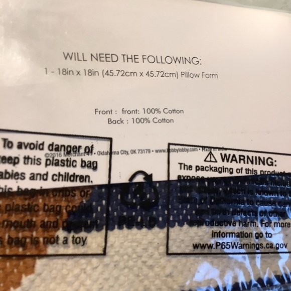 NWT pillow cover set of two - Picture 2 of 4